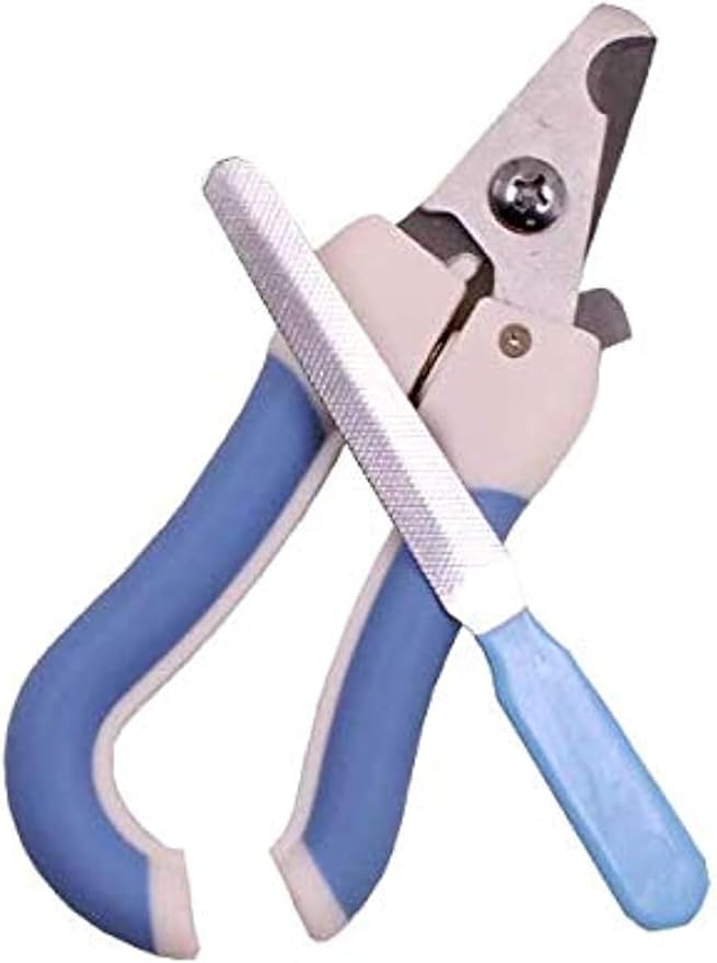 B0FB98JBNP-MySouqEg Store Professional pet nail scissors clipper with sharpening