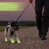 B0F5PDYKJ6- Pet Dog Shoes Breathable Waterproof Outdoor Walking Net Soft Summer Pet Shoes Night Safe Reflective Boots for Small Medium Dogs (Green, XL)