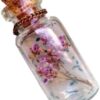 31vu+WpwPZL._AC_SY450_ Mini Glass Bottles with Cork Lids, Pack of 3 Empty Jars Small Magic Glasses Glass Miniature Potion Small Message DIY Crafts-B0FBQCN92T