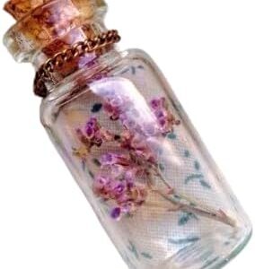 Mini Glass Bottles with Cork Lids, Pack of 3 Empty Jars Small Magic Glasses Glass Miniature Potion Small Message DIY Crafts-B0FBQCN92T