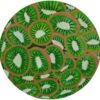 (B0FFFN2V9L)Handmade Circular Canvas Art Print-Vibrant Kiwi Fruit Slice Painting (27cm Diameter) | Modern Kitchen Decor, Unique Wall Art, Ready to Hang | Perfect Gift for Foodies & Home Decor(F001)