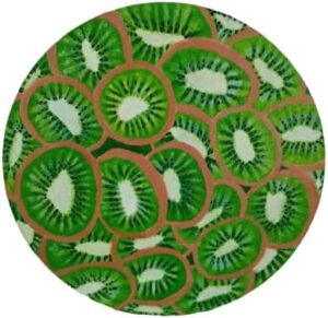 (B0FFFN2V9L)Handmade Circular Canvas Art Print-Vibrant Kiwi Fruit Slice Painting (27cm Diameter) | Modern Kitchen Decor, Unique Wall Art, Ready to Hang | Perfect Gift for Foodies & Home Decor(F001)