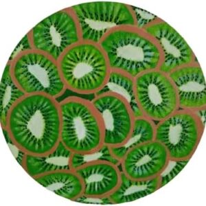 (B0FFFN2V9L)Handmade Circular Canvas Art Print-Vibrant Kiwi Fruit Slice Painting (27cm Diameter) | Modern Kitchen Decor, Unique Wall Art, Ready to Hang | Perfect Gift for Foodies & Home Decor(F001)