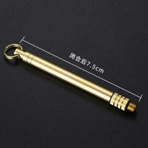 (B0FFSWWSJJ)Toothpicks Interdental Brush Stick Keychain 1Pcs