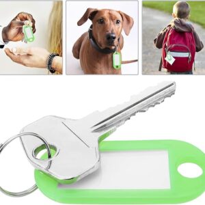 71Qr7DWdr-L._AC_SX679_ Keychain label tag identifier ID multicolor for keys 50 units-B0FDBMC6JB