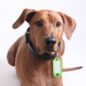 Keychain label tag identifier ID multicolor for keys 50 units-B0FDBMC6JB