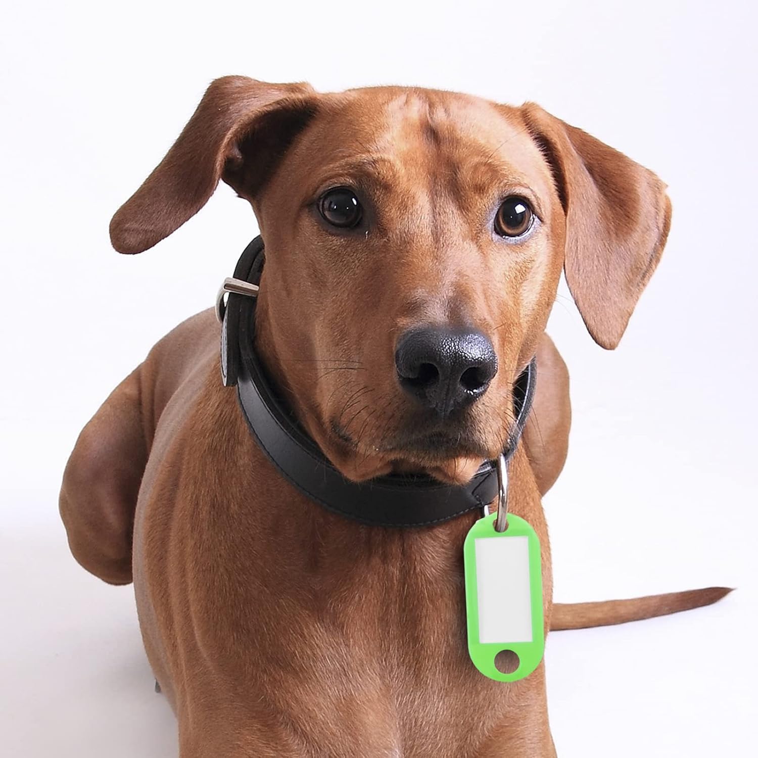 71ckGmN3amL._AC_SL1500_