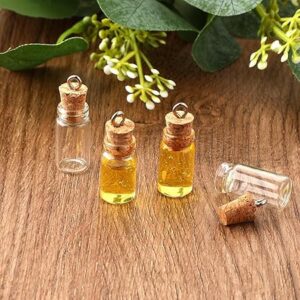 812pFeEY06L._AC_SY450_ Mini Glass Bottles with Cork Lids, Pack of 3 Empty Jars Small Magic Glasses Glass Miniature Potion Small Message DIY Crafts-B0FBQCN92T