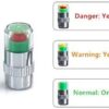 Car Tire Pressure Indicator Tire Pressure Gauge Indicator Alert Monitoring Valve Cap Sensor External Valve Detection (4)-B0FH4H76KF