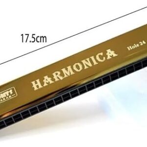 Professional 24 Hole Harmonica Play Double Row C-key Harmonica Beginner Tremolo Harmonica Jazz Folk Harmonicas Children Gift (sliver)-B0FGRMQRJ5