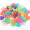 Glow in the Dark Pebbles for Walkways Decor, Outside Bulk Glow in the Dark Rocks for Outdoor Fairy Garden, Glowing Stones for Driveway, Fish Tank Aquarium Glow Decorations Gravel,Solar 50Pcs-B0FH7HPM95