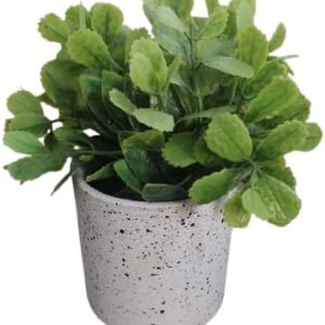 قطعة واحدة - نبات صناعي في وعاء - نبات أخضر عريض الأوراق في وعاء زخرفي لديكور المنزل والمكتب-B0FS7BXW5X