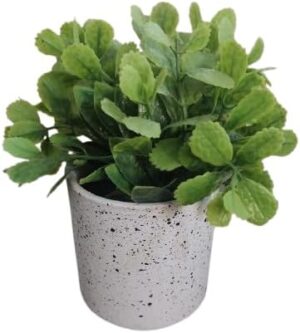 قطعة واحدة - نبات صناعي في وعاء - نبات أخضر عريض الأوراق في وعاء زخرفي لديكور المنزل والمكتب-B0FS7BXW5X