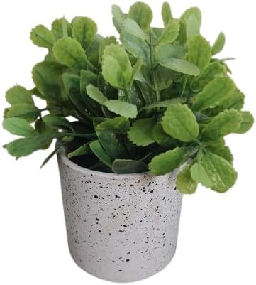 قطعة واحدة - نبات صناعي في وعاء - نبات أخضر عريض الأوراق في وعاء زخرفي لديكور المنزل والمكتب-B0FS7BXW5X