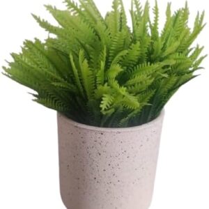 (قطعة واحدة) نبات سرخس صناعي في وعاء زخرفي - نبات أخضر صناعي صغير لتزيين المنزل والمكتب والمكتب-B0FS7RF8LG