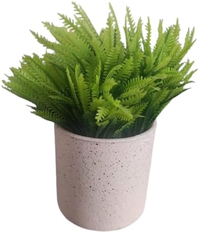 (قطعة واحدة) نبات سرخس صناعي في وعاء زخرفي - نبات أخضر صناعي صغير لتزيين المنزل والمكتب والمكتب-B0FS7RF8LG