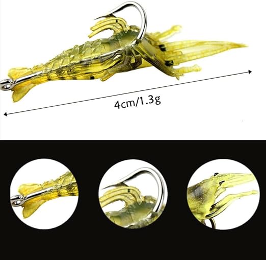 51kpbpaNakL._AC_SX522_