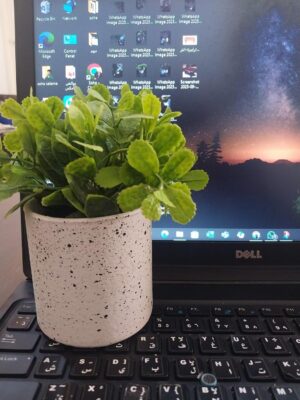 قطعة واحدة - نبات صناعي في وعاء - نبات أخضر عريض الأوراق في وعاء زخرفي لديكور المنزل والمكتب-B0FS7BXW5X