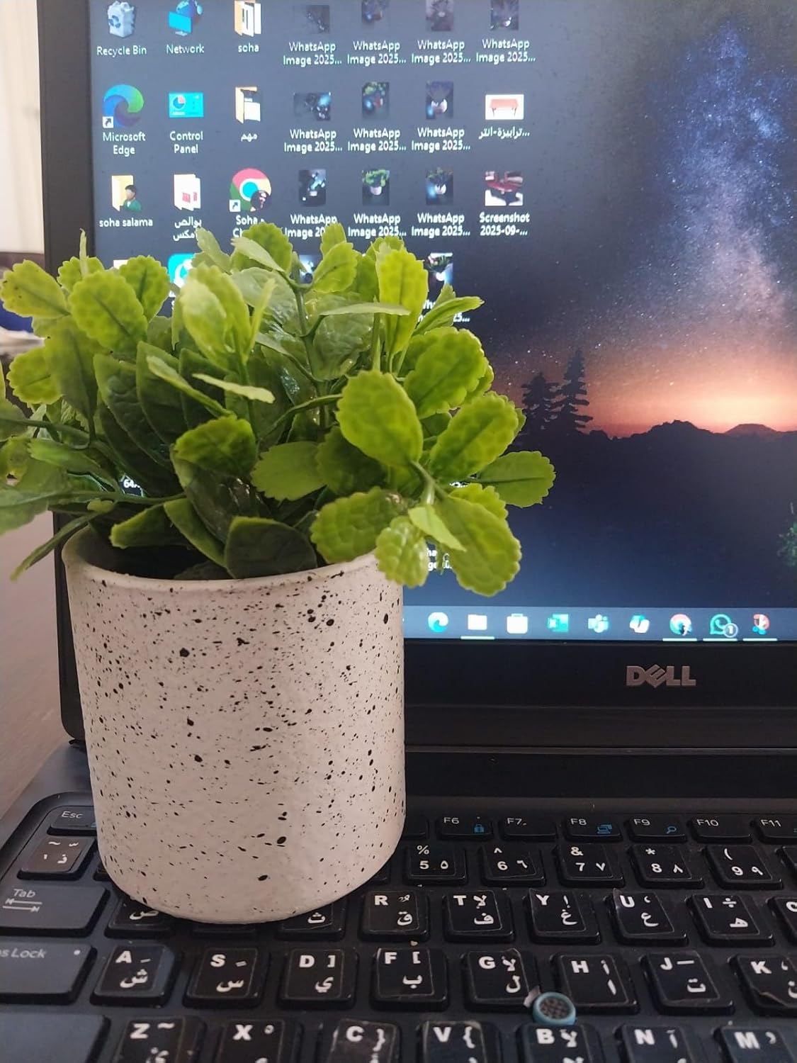 71C7N6sfM4L._AC_SL1500_