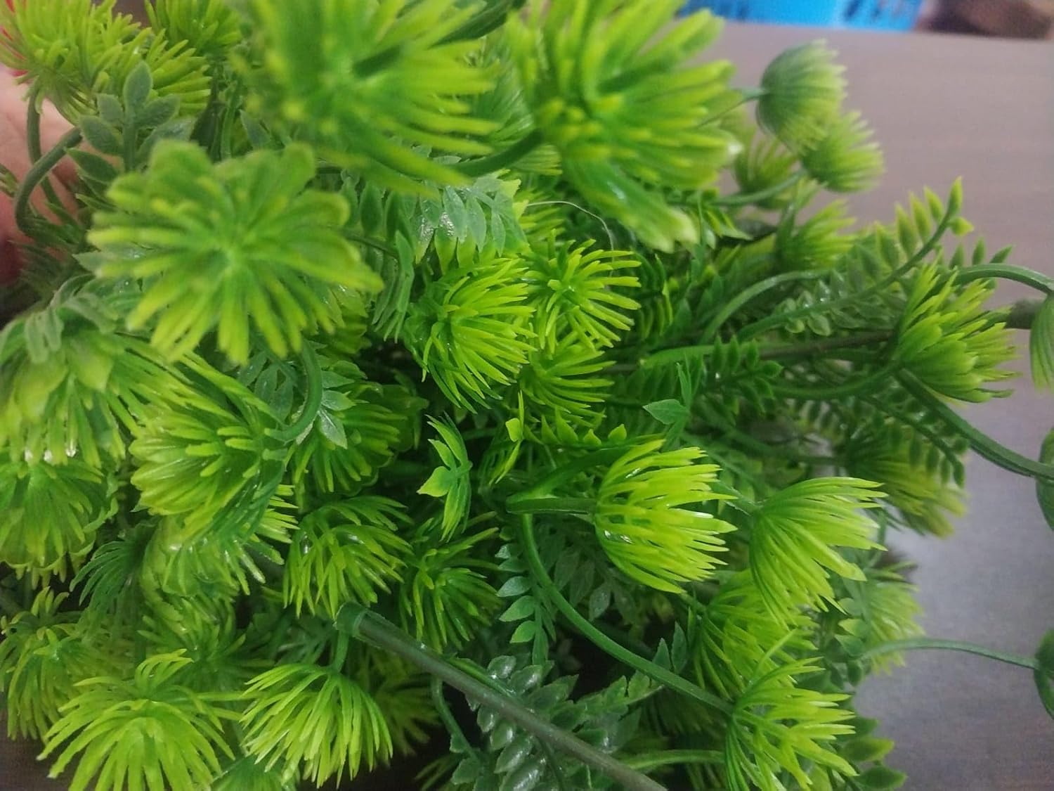 71H3eUmvW-L._AC_SL1500_