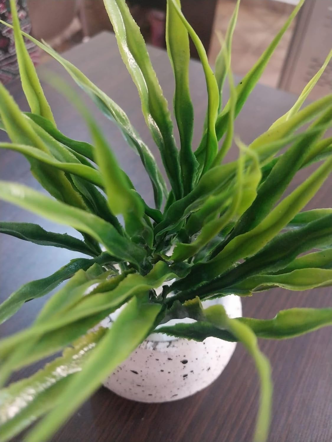 71NVc-+ZC8L._AC_SL1500_