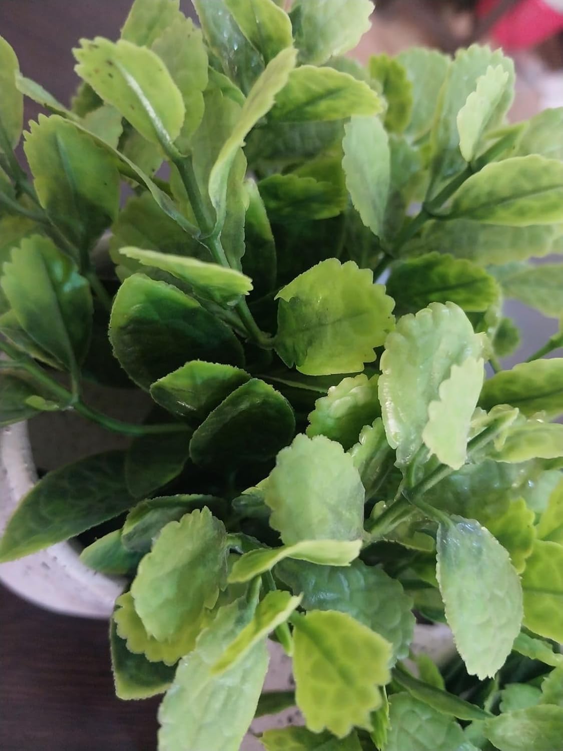 71Tq4FXSLfL._AC_SL1500_