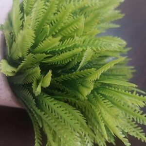 (قطعة واحدة) نبات سرخس صناعي في وعاء زخرفي - نبات أخضر صناعي صغير لتزيين المنزل والمكتب والمكتب-B0FS7RF8LG