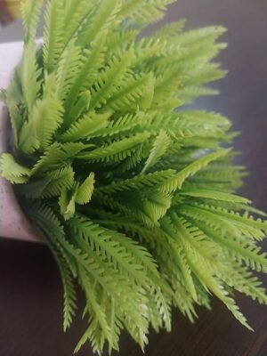 (قطعة واحدة) نبات سرخس صناعي في وعاء زخرفي - نبات أخضر صناعي صغير لتزيين المنزل والمكتب والمكتب-B0FS7RF8LG