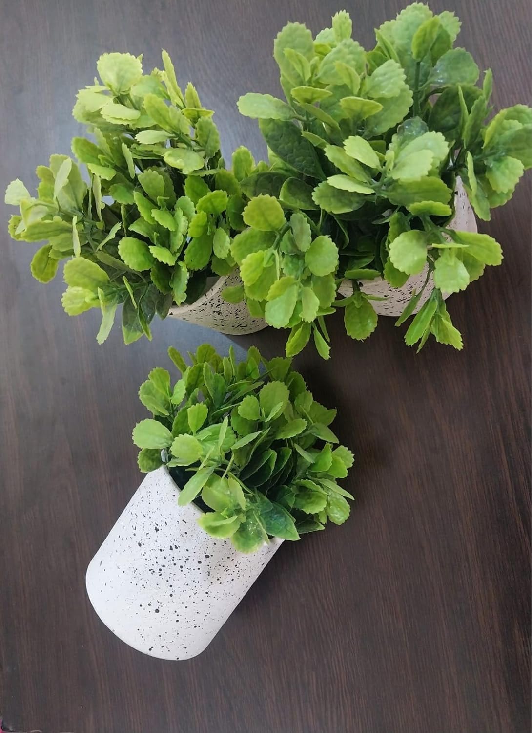 71ddePotcOL._AC_SL1500_