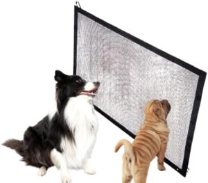 بوابة أمان محمولة شبكية للحيوانات الأليفة - سهلة التركيب للمداخل والممرات (180 سم × 72 سم)-B0FTF8VVHQ