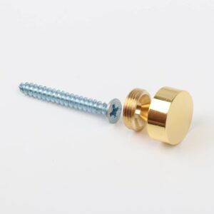 4 قطع مسمار مرآة غطاء زخرفي مسمار 25 مم / قطر الفولاذ المقاوم للصدأ ذهبي لامع-B0FTFK1BY7