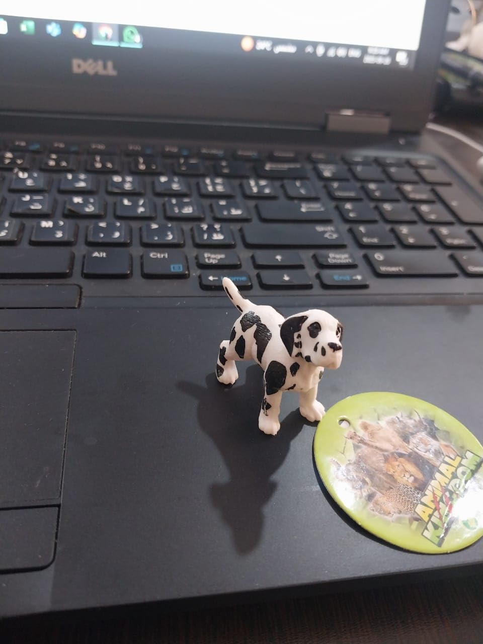 61MllU-VF-L._AC_SL1280_