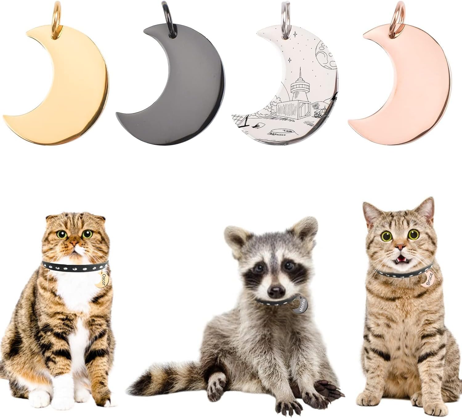 71aAe+76RmL._AC_SL1500_