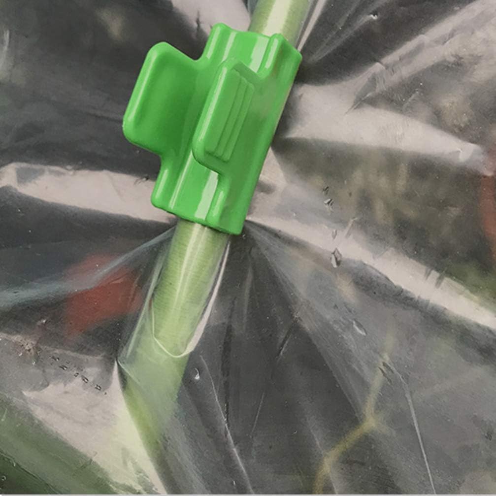 61abdK0m8TL._AC_SL1007_