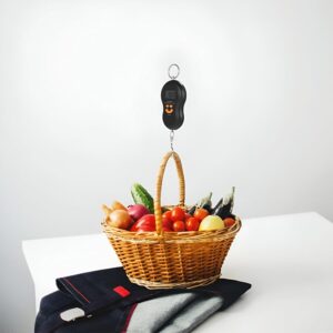 ميزان أمتعة معلق محمول بشاشة LCD ذات إضاءة خلفية زرقاء-B0G1YL2R7F