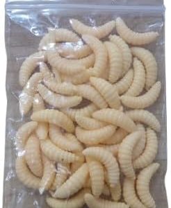 طُعم صيد على شكل يرقات ذبابة صناعية، 2 سم، طُعم دودة ناعمة اصطناعية، أدوات صيد، 50/100 قطعة