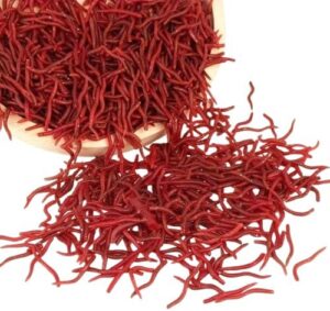 طعم صيد ناعم واقعي على شكل دودة أرض، طعم أحمر صغير لأدوات صيد الأسماك البحرية 25 قطعه