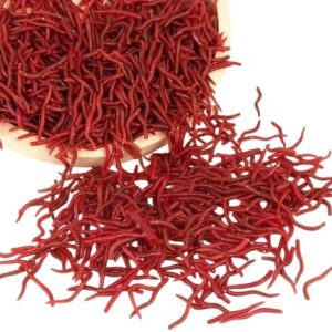 طعم صيد ناعم واقعي على شكل دودة أرض، طعم أحمر صغير لأدوات صيد الأسماك البحرية 25 قطعه