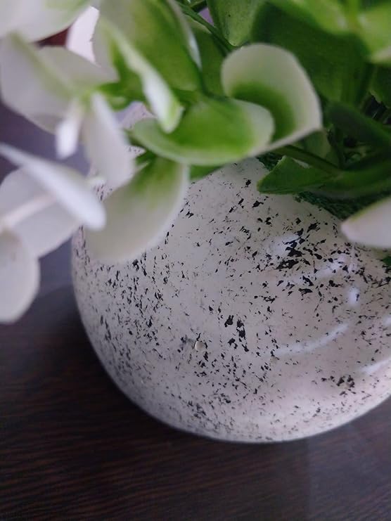 61EsF7oIQ3L._AC_SY741_