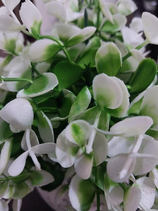 61QiBgubvLL._AC_SY741_