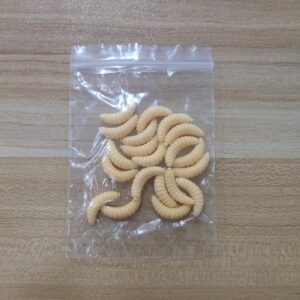 طُعم صيد على شكل يرقات ذبابة صناعية، 2 سم، طُعم دودة ناعمة اصطناعية، أدوات صيد، 50/100 قطعة