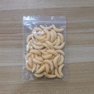 طُعم صيد على شكل يرقات ذبابة صناعية، 2 سم، طُعم دودة ناعمة اصطناعية، أدوات صيد، 50/100 قطعة