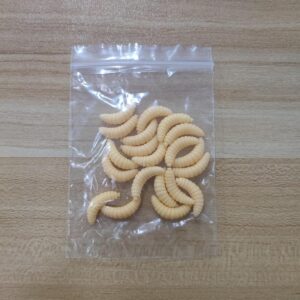 طُعم صيد على شكل يرقات ذبابة صناعية، 2 سم، طُعم دودة ناعمة اصطناعية، أدوات صيد، 50/100 قطعة