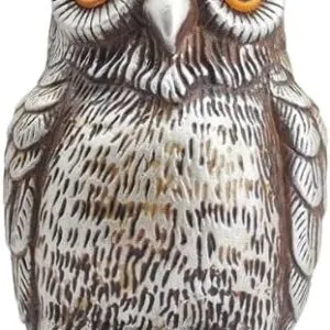 1PCs Decorative Owl Realistic Animal Scarecrow Decor Lawn Garden Miniatures Figurine Home Small 6x10cm Random Color-B0D8DHN9Q1